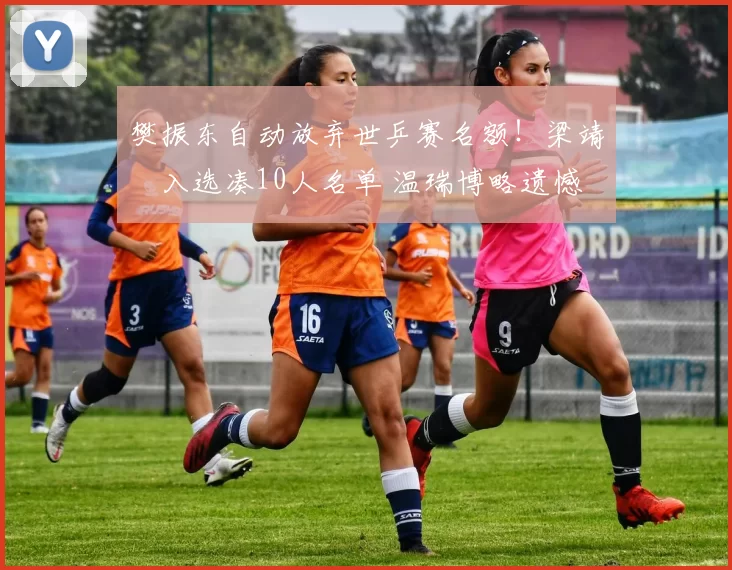 樊振东自动放弃世乒赛名额！梁靖崑入选凑10人名单 温瑞博略遗憾