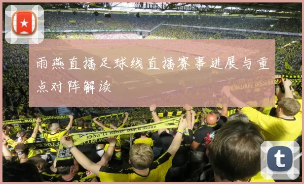 雨燕直播足球线直播赛事进展与重点对阵解读