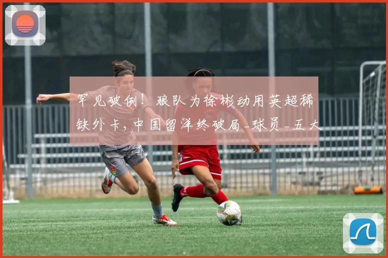 罕见破例！狼队为徐彬动用英超稀缺外卡,中国留洋终破局_球员_五大联赛_效力