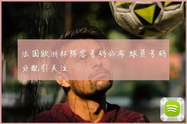 法国欧洲杯阵容号码公布 球员号码分配引关注