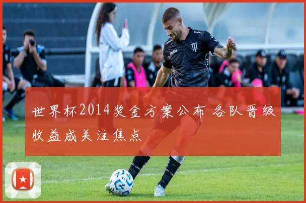 世界杯2014奖金方案公布 各队晋级收益成关注焦点